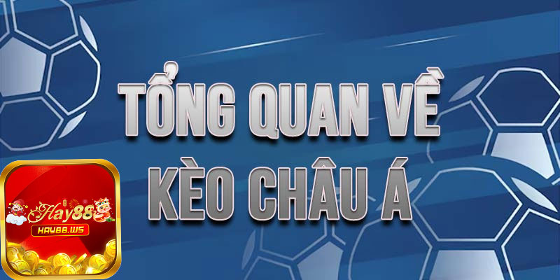 Kinh Nghiệm Bắt Kèo Trên Dưới Từ Dân Cá Độ Lâu Năm