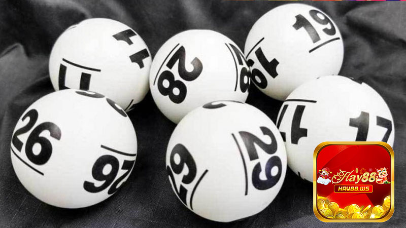 Kiểm Tra Kết Quả Nhanh
