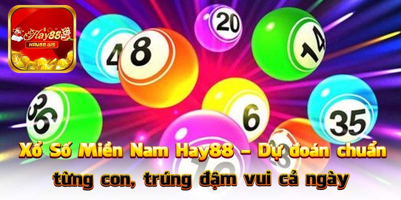 Xổ Số Miền Nam Hay88 – Dự đoán chuẩn từng con, trúng đậm vui cả ngày